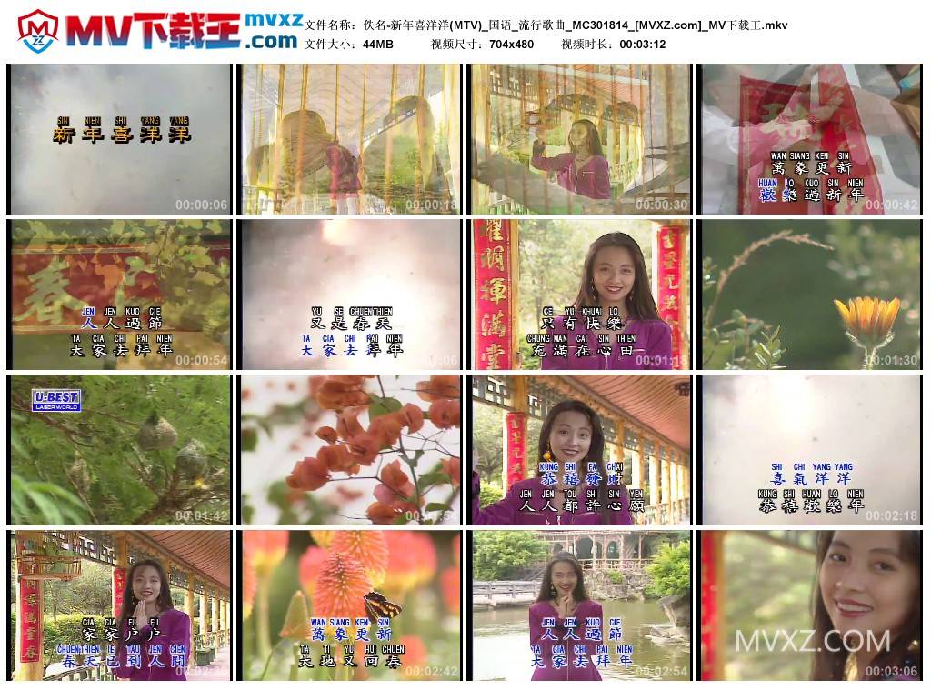 佚名-新年喜洋洋(MTV)_国语_流行歌曲_MC301814